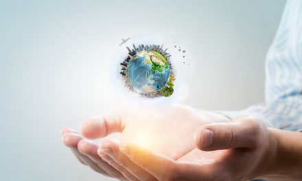 Fitting the Pieces Together in the Workforce Development Ecosystem